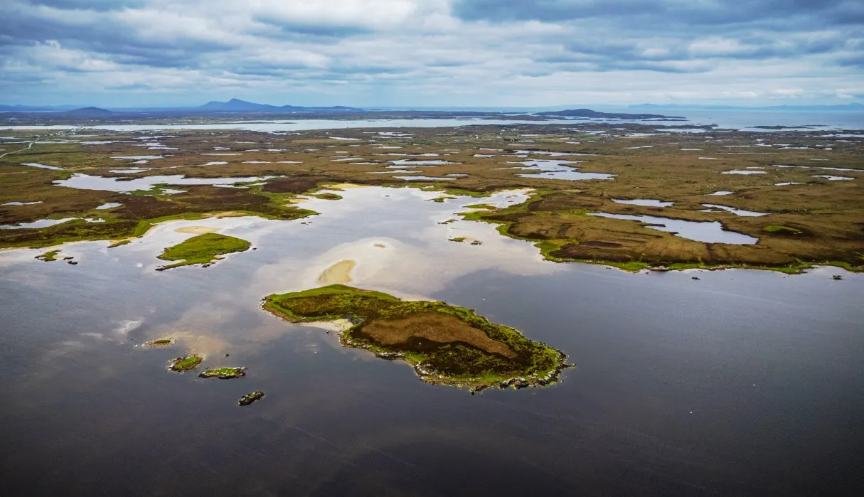 East Loch Bee